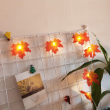 Christmas Decoration Thanksgiving Day Leaves Pumpkin String Lights USB Powered