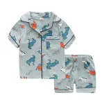 Toddler Kids Boy Dinosaur Family Short Pajamas Sleepwear Set Cotton Pjs