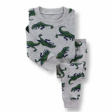 Toddler Kid Boys Print Green Dinosaur Pajamas Sleepwear Set Long Sleeves Cotton Pjs