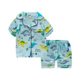 Toddler Kids Boy Dinosaur Family Short Pajamas Sleepwear Set Cotton Pjs