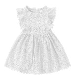 Girls Ruffles Sleeves Pompoms Lace Dress