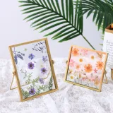 Metal Glass Dried Flower Leaf Plant Specimen Tabletop Photo Frame