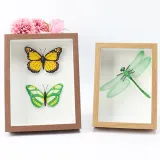 DIY Herbarium and Plant Specimen Wood Photo Frame