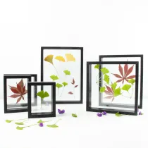 Dried Flower Leaf Plant Specimen Double-sided Glass Photo Frame
