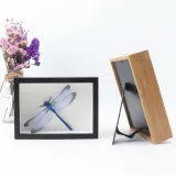 DIY Herbarium and Plant Specimen Wood Photo Frame