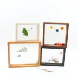 Dried Flower Leaf Plant Specimen Double-sided Glass Photo Frame