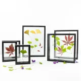 Dried Flower Leaf Plant Specimen Double-sided Glass Photo Frame