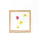Dried Flower Leaf Plant Specimen Double-sided Glass Photo Frame