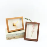 DIY Herbarium and Plant Specimen Wood Photo Frame