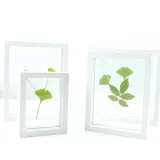 Dried Flower Leaf Plant Specimen Double-sided Glass Photo Frame