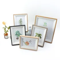 Crude Gallery Wood Wall Frame