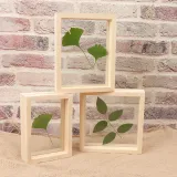 Dried Flower Leaf Plant Specimen Double-sided Glass Photo Frame
