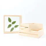 Dried Flower Leaf Plant Specimen Double-sided Glass Photo Frame