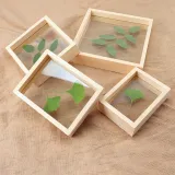 Dried Flower Leaf Plant Specimen Double-sided Glass Photo Frame