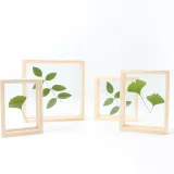Dried Flower Leaf Plant Specimen Double-sided Glass Photo Frame