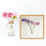 DIY Herbarium and Plant Specimen Wood Photo Frame