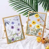 Metal Glass Dried Flower Leaf Plant Specimen Tabletop Photo Frame