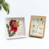 DIY Herbarium and Plant Specimen Wood Photo Frame