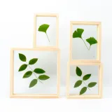 Dried Flower Leaf Plant Specimen Double-sided Glass Photo Frame