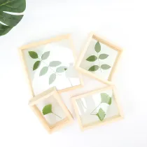 Dried Flower Leaf Plant Specimen Double-sided Glass Photo Frame