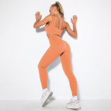Women 2 Piece Seamless Sport Bra High Waist Yoga Leggings Sets