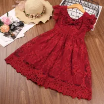 Toddler Girls Embroidery Floral Mesh Lace Dress