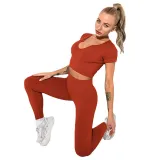 Women 2 Piece Seamless Sport Short Sleeves High Waist Yoga Leggings Sets