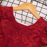 Toddler Girls Embroidery Floral Mesh Lace Dress