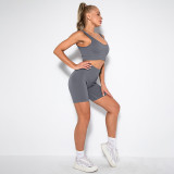 Women Ribbed Sport Bra High Waist Running Shorts Gym Workout Yoga Sets