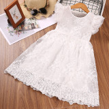 Toddler Girls Embroidery Floral Mesh Lace Dress