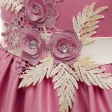 Toddler Girls Floral Embroidery Sleeveless Gowns Dress