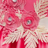 Toddler Girls Floral Embroidery Sleeveless Gowns Dress