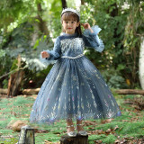 Toddler Girls Lace Mesh Long Sleeve Fairy Dress
