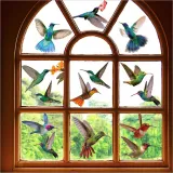 Nineteen Different Birds 9 Piece Room Waterproof Decorative Wallpaper