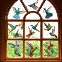 Nineteen Different Birds 9 Piece Room Waterproof Decorative Wallpaper