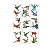 Nineteen Different Birds 9 Piece Room Waterproof Decorative Wallpaper