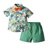 Toddler Kids Boys Print Beach Suit T-shirts and Short Two-Piece Outfit