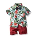Toddler Kids Boys Print Beach T-shirts and Short Two-Piece Outfit