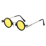 Sunglasses Small Round Lens Retro Punk Frame Rock Hip Hop Glasses