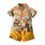Kids Boys Print Sandy Beach T-shirts and Short Two-Piece Outfit