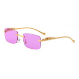 Sunglasses Small Square Lens Metal Leopard Glasses Legs Retro Eyewear