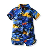 Kids Boys Print Sandy Beach T-shirts and Short Two-Piece Outfit