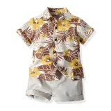 Kids Boys Print Sandy Beach T-shirts and Short Two-Piece Outfit