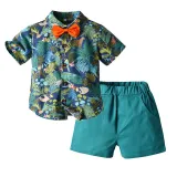 Toddler Kids Boys Print Beach Suit T-shirts and Short Two-Piece Outfit