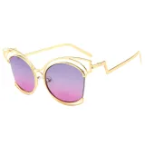 Sunglasses Metal Irregular Glasses Legs Cateye Frame Eyewear