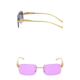 Sunglasses Small Square Lens Metal Leopard Glasses Legs Retro Eyewear