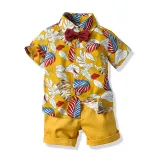 Toddler Kids Boys Print Beach T-shirts and Short Two-Piece Outfit