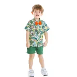 Toddler Kids Boys Print Beach Suit T-shirts and Short Two-Piece Outfit