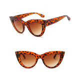 Sunglasses Trendy Cateye Round Bottom Oversized UV Protection Vintage With Frame Shades