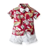 Kids Boys Print Sandy Beach T-shirts and Short Two-Piece Outfit